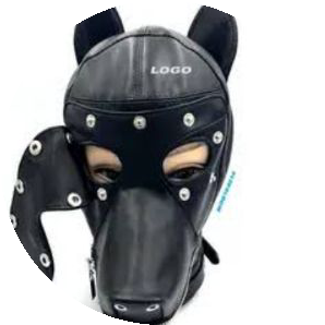 Sahibesiz köpek