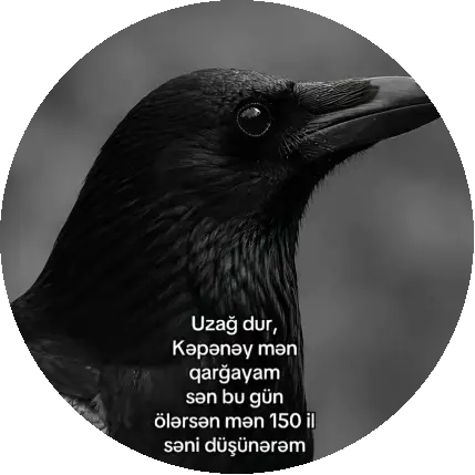 Расим Гусейнов