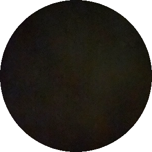 Host