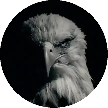 🦅