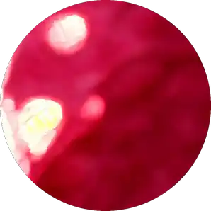 Proud of Staying True