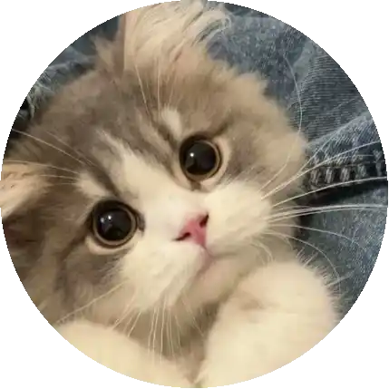Esel