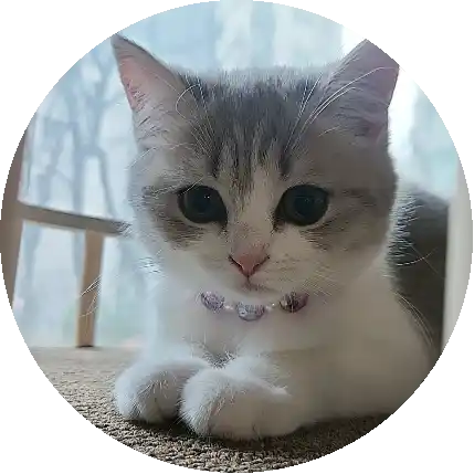인호