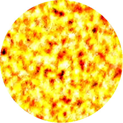 Host