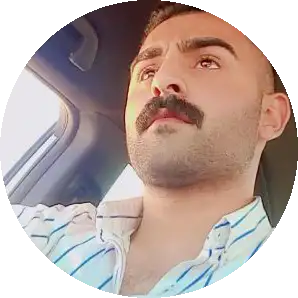 المستشار الهادئ