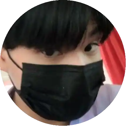 แมวส้ม