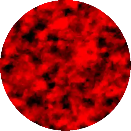 Host