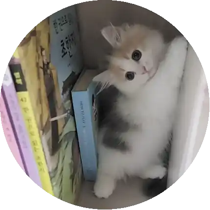 김과장