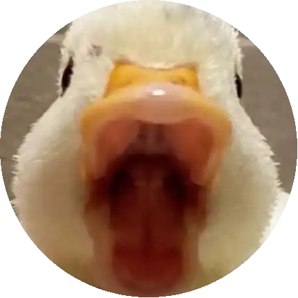 Host