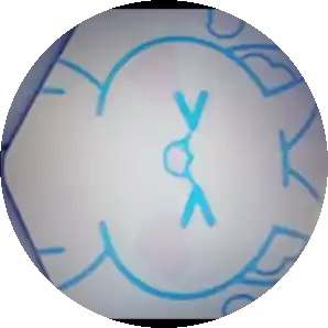 Host