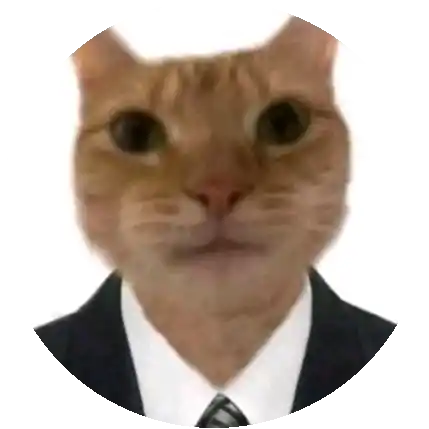 Thích Ngủ Khi Mưa Rơi