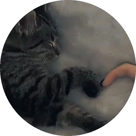 Nda