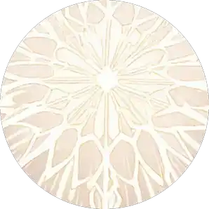 Host