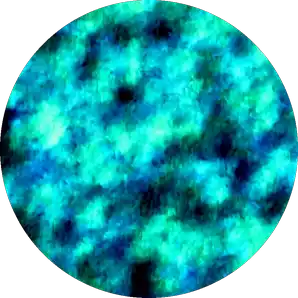 Host