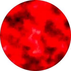 Host