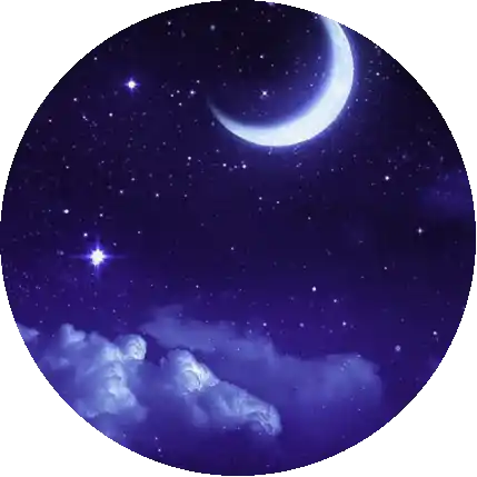 Moonlight 🌚✨
