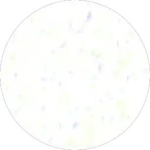 لا خطط، فقط موسيقى وراحة