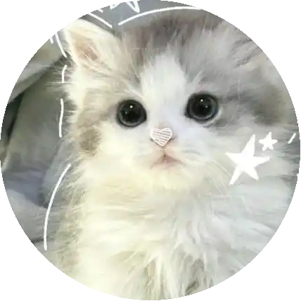 zyka