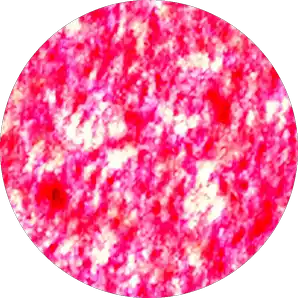 초코에몽얼려먹는