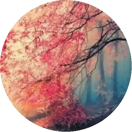 Seon-hee