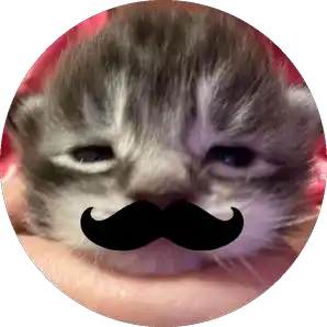 dontoi.huurhnuu