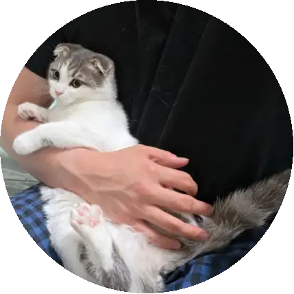16cm