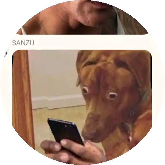 นักสะสมความทรงจำในฤดูใบไม้ร่วง