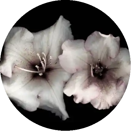 😛