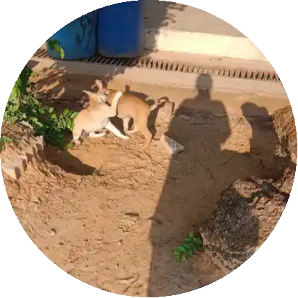 ราชาผู้อบอุ่น