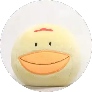 흘러가는 시냇물의 어느 물고기의 생각