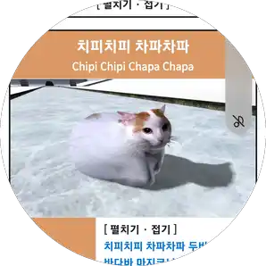 월수 반무새