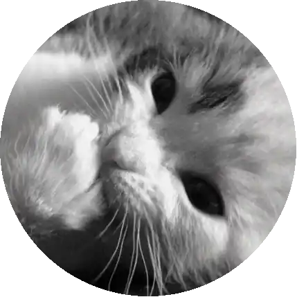 ilaa