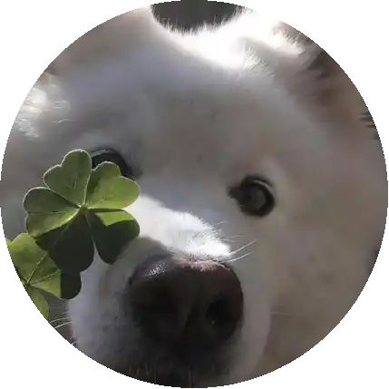 TT