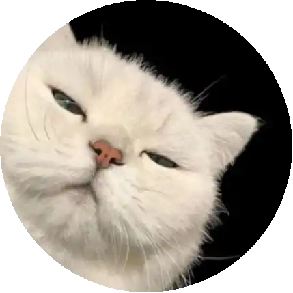 𝙊𝙜𝙪𝙯𝙯