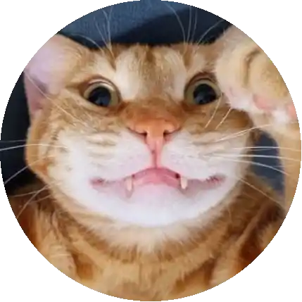 🐱