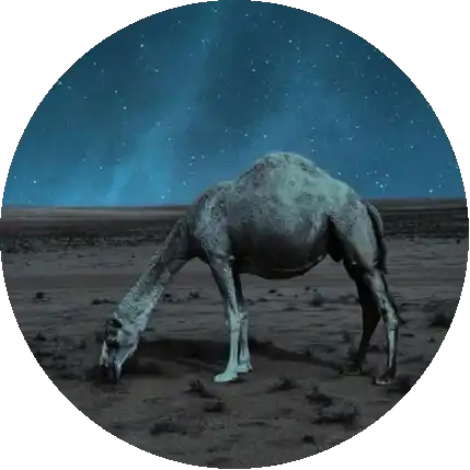 الكفيل