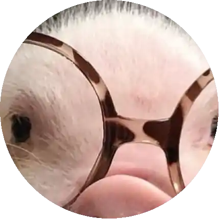 ย่า