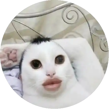 ม่อนม่อน