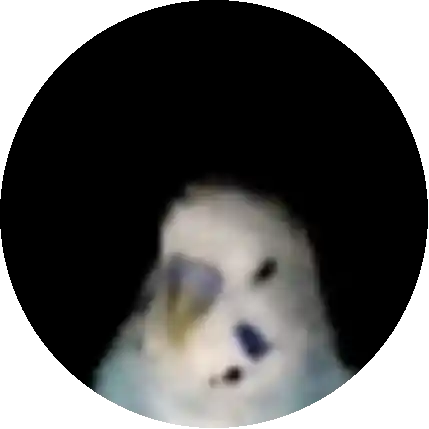 Yiğit