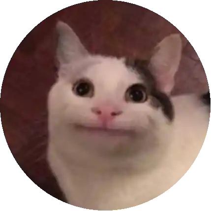 🦄ponçik cat🐣