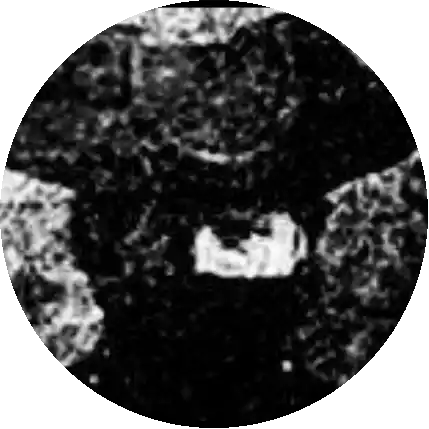 مشاعر وحساويس
