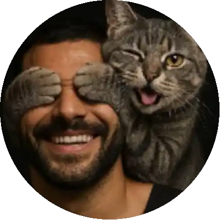 Tayy