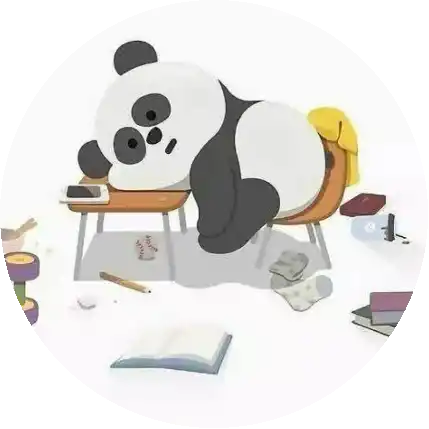 ddyy panda🐼☘️🩵