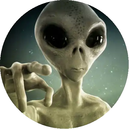 유얼네임