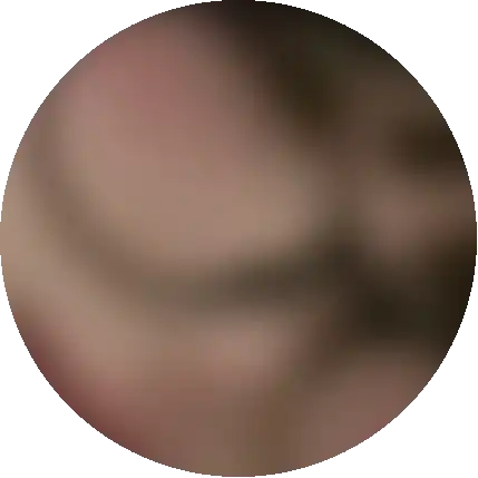 มิตรภาพที่ยืดหยุ่น