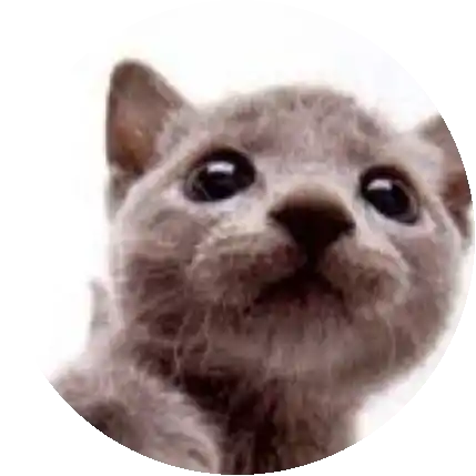 루이