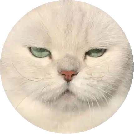 𝙊𝙜𝙪𝙪𝙯𝙯 :)