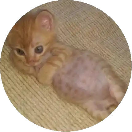 cute