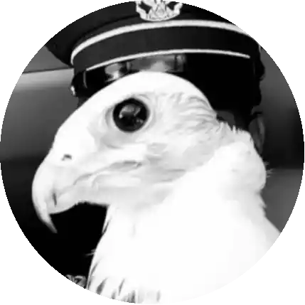 محمد
