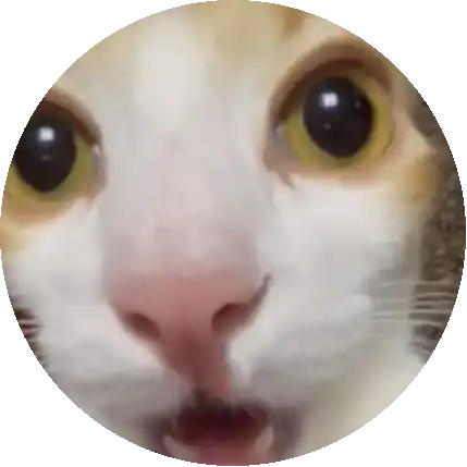 Yaramaz Pişik 😼
